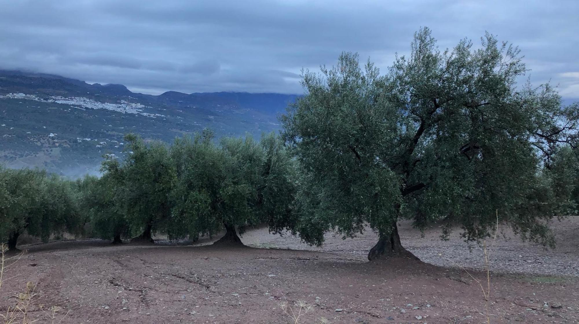 Villa La Fuente Mondrón Eksteriør bilde