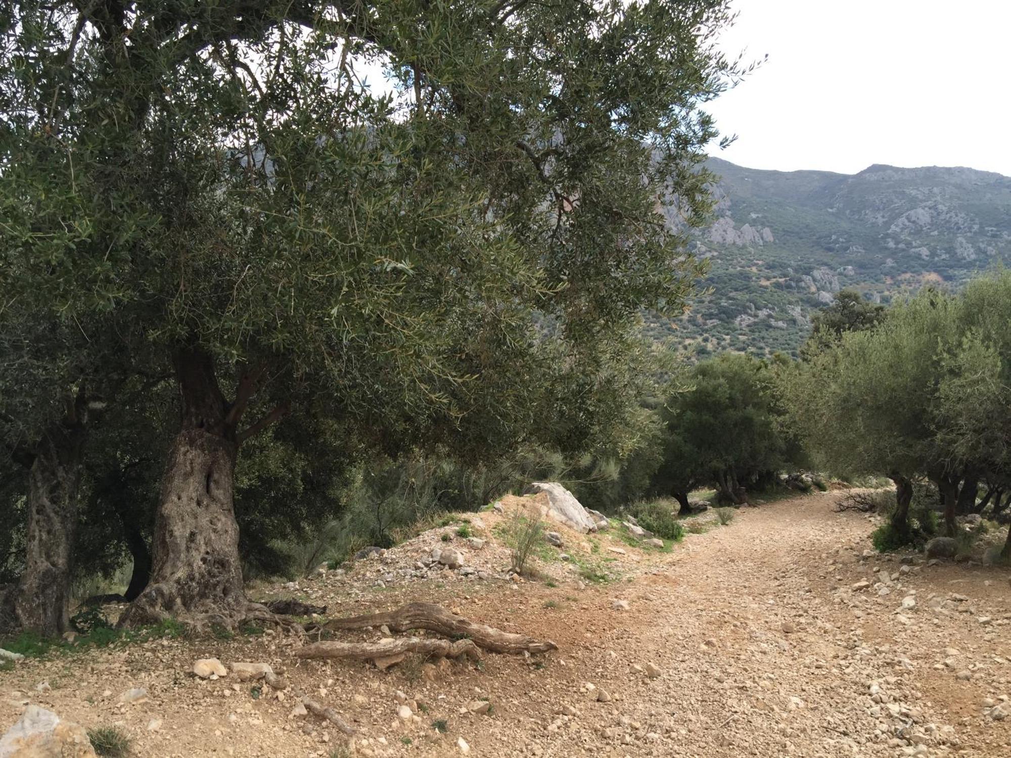 Villa La Fuente Mondrón Eksteriør bilde