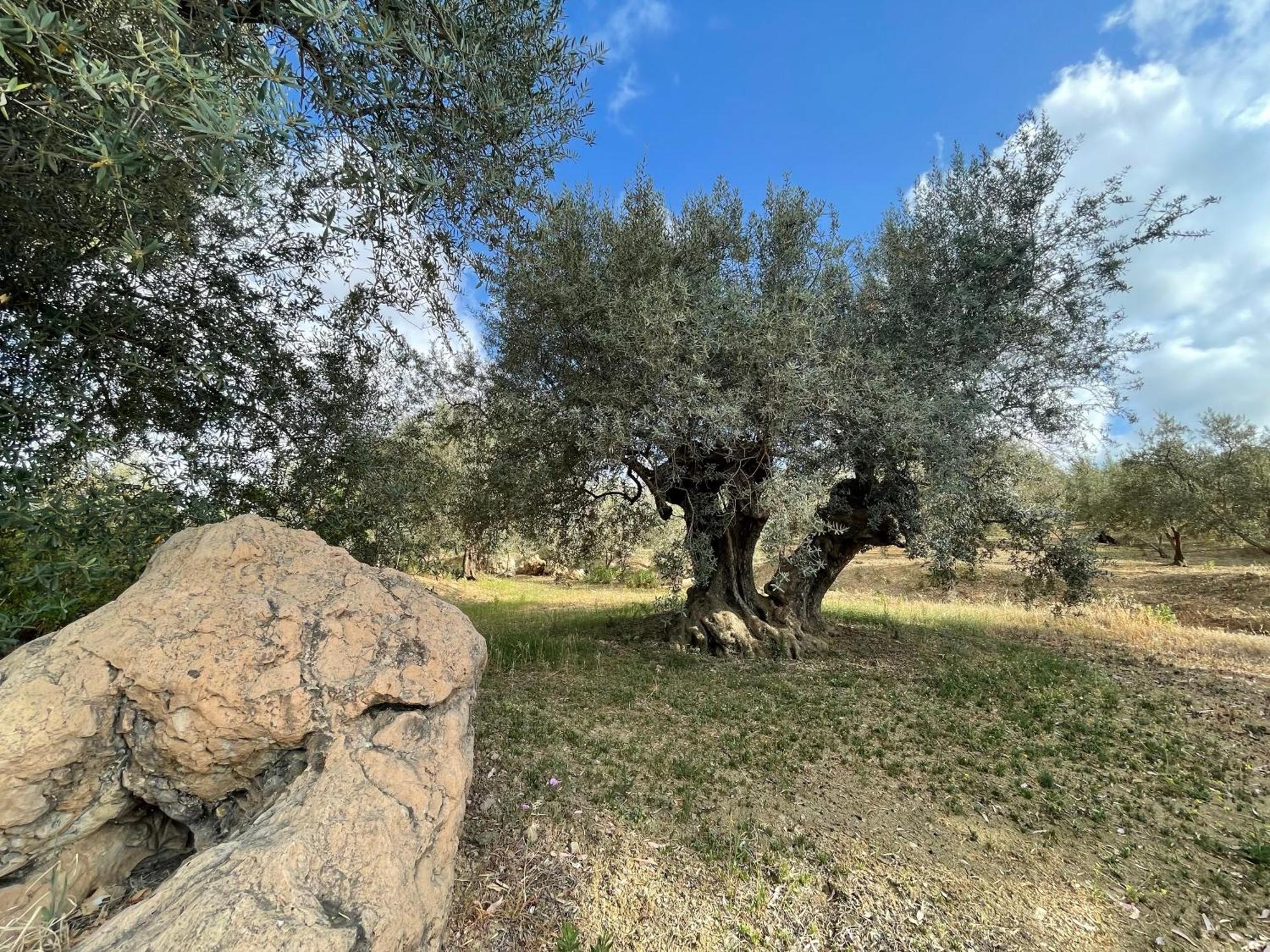 Villa La Fuente Mondrón Eksteriør bilde